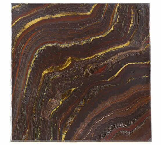Tiger Iron Stromatolite Shower Tile - Billion Years Old #48793